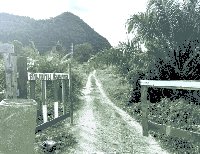 ที่ดินว่างเปล่าหลุดจำนอง ธ.ธนาคารกสิกรไทย สตูล ควนกาหลง ทุ่งนุ้ย